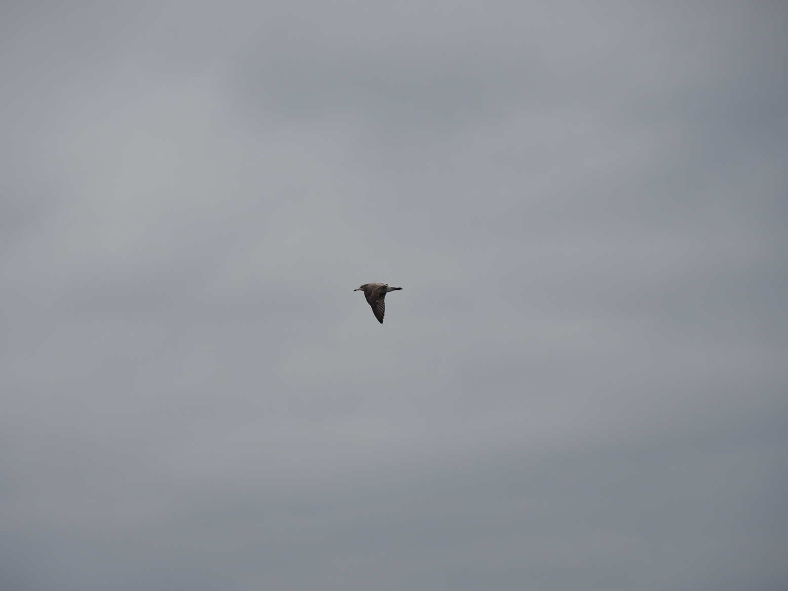 PA160124.jpg