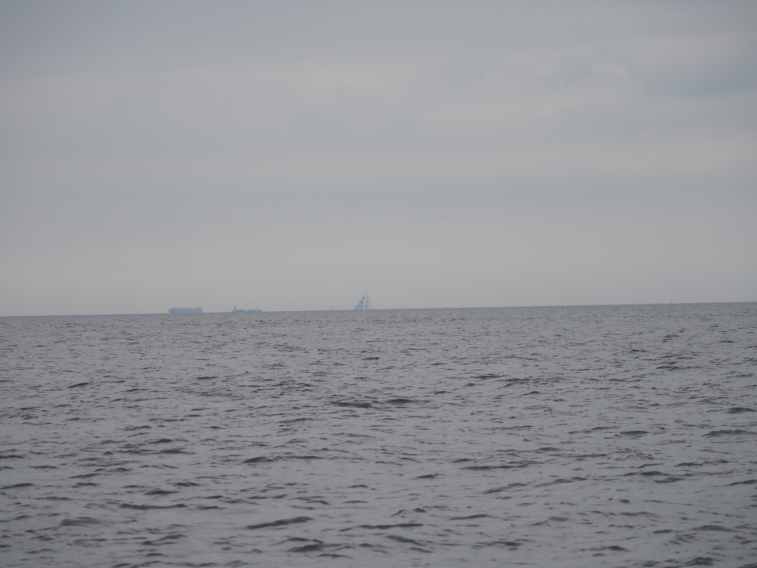 PA160126.jpg