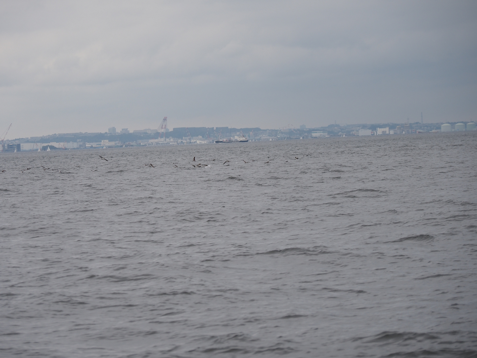 PA160128.jpg