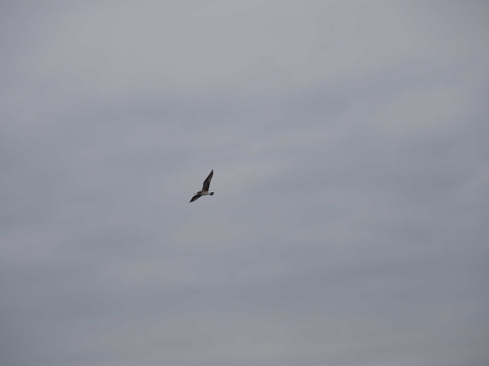 PA160129.jpg