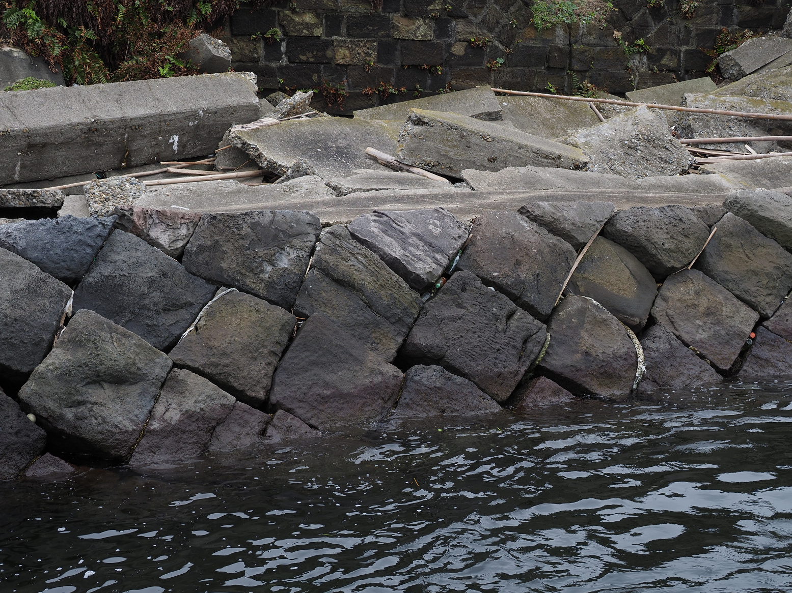 PA160155.jpg