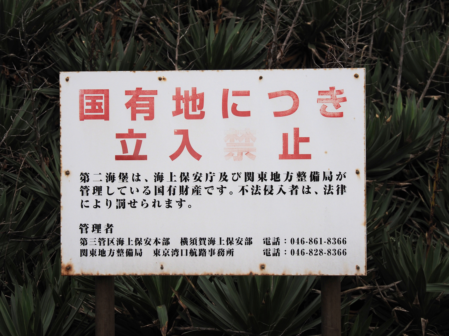 PA160157.jpg