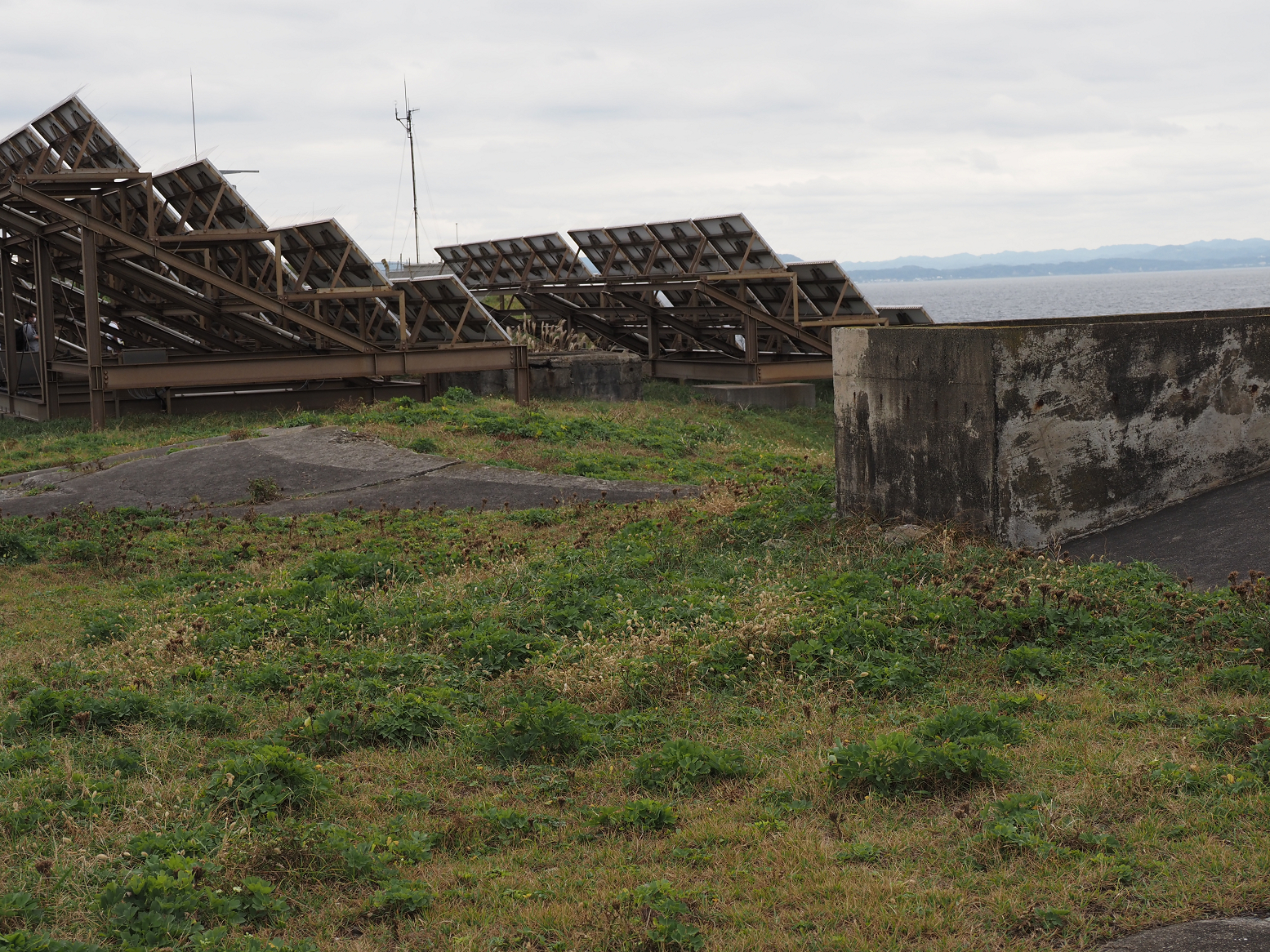 PA160186.jpg