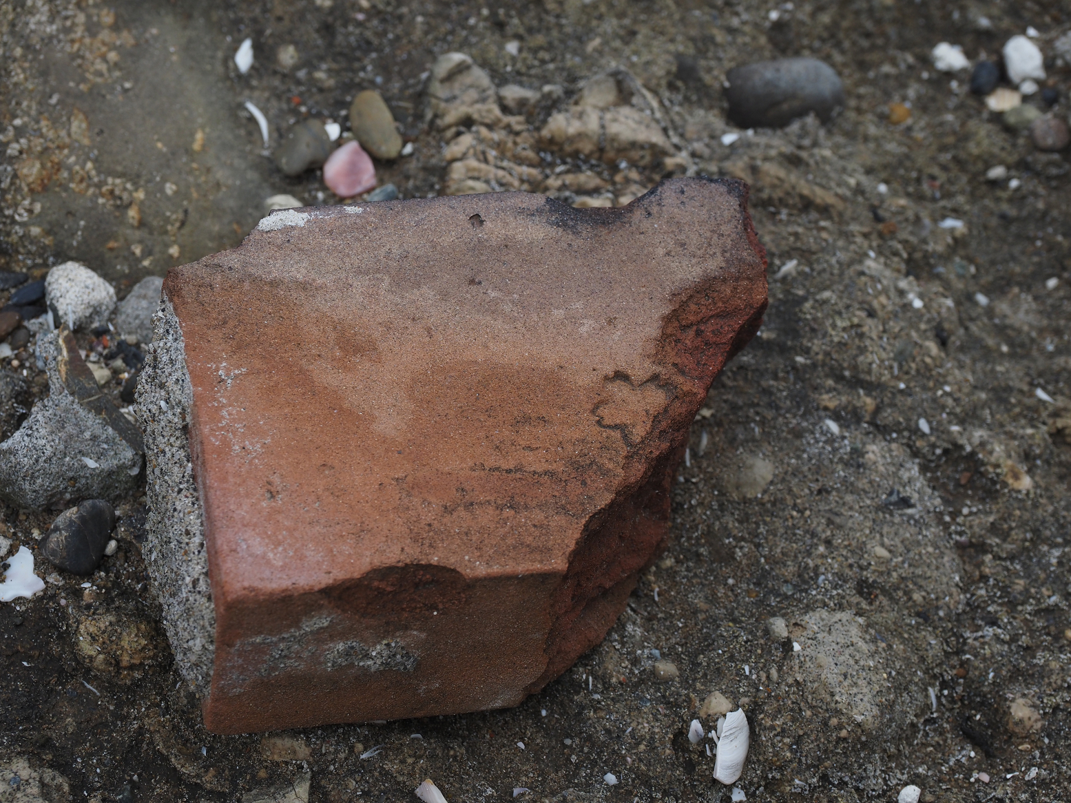 PA160217.jpg