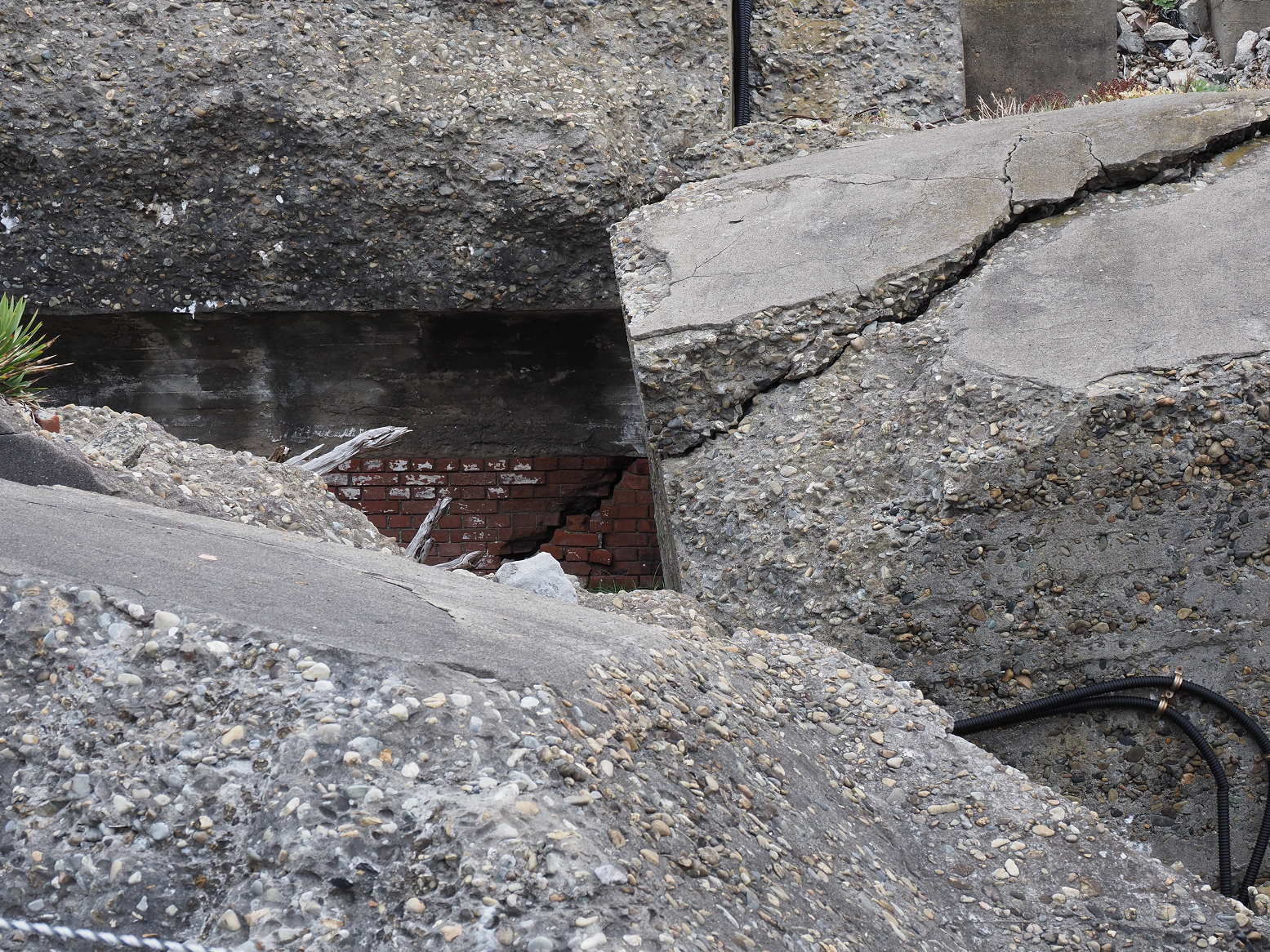 PA160227.jpg