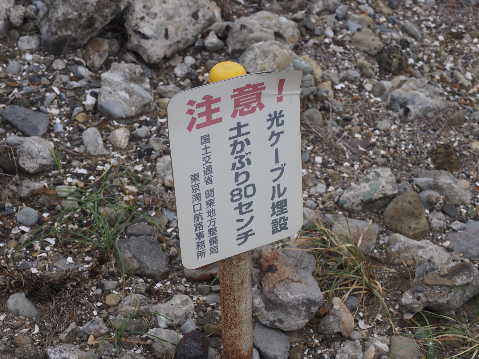 PA160230.jpg