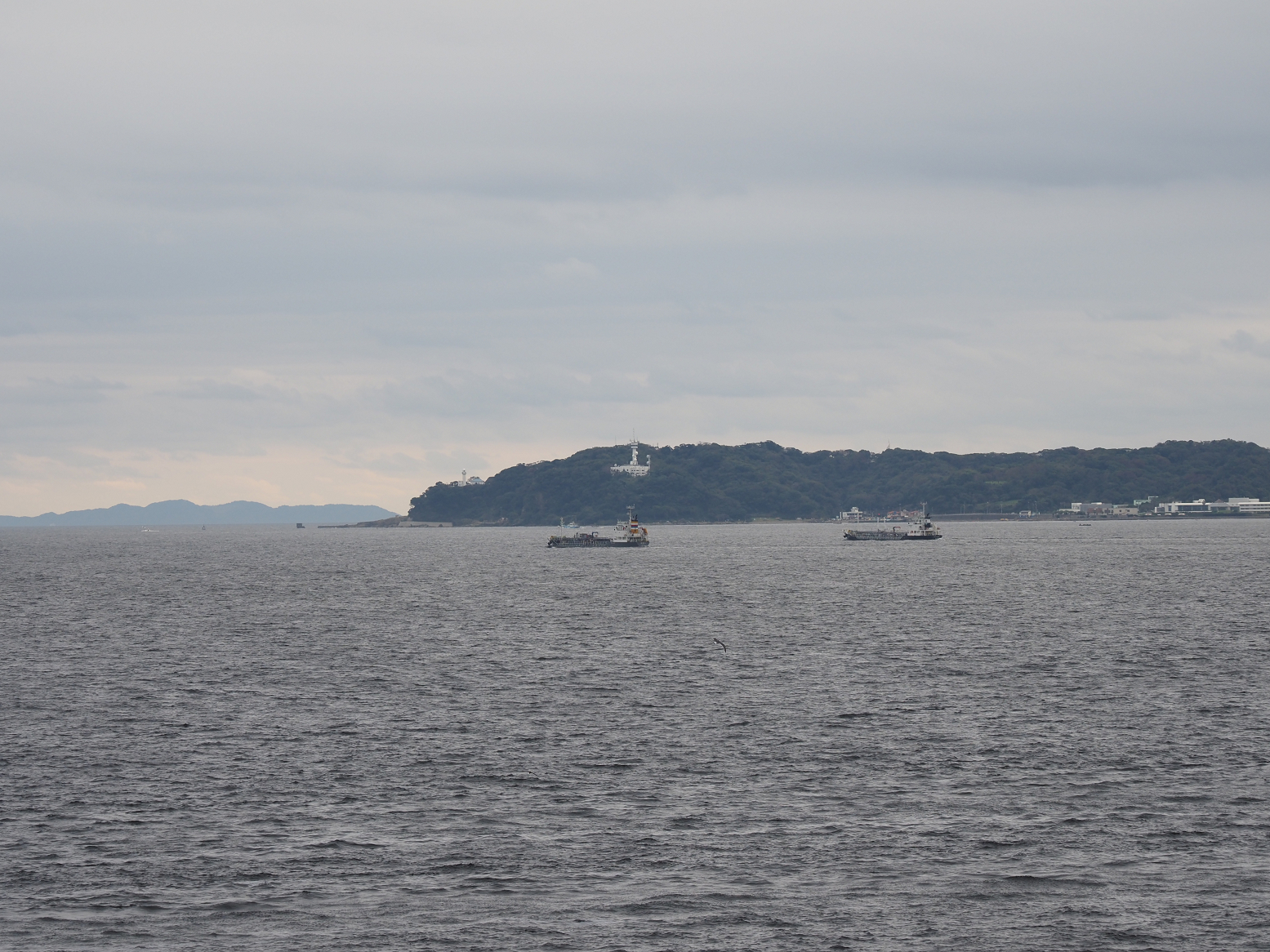 PA160253.jpg