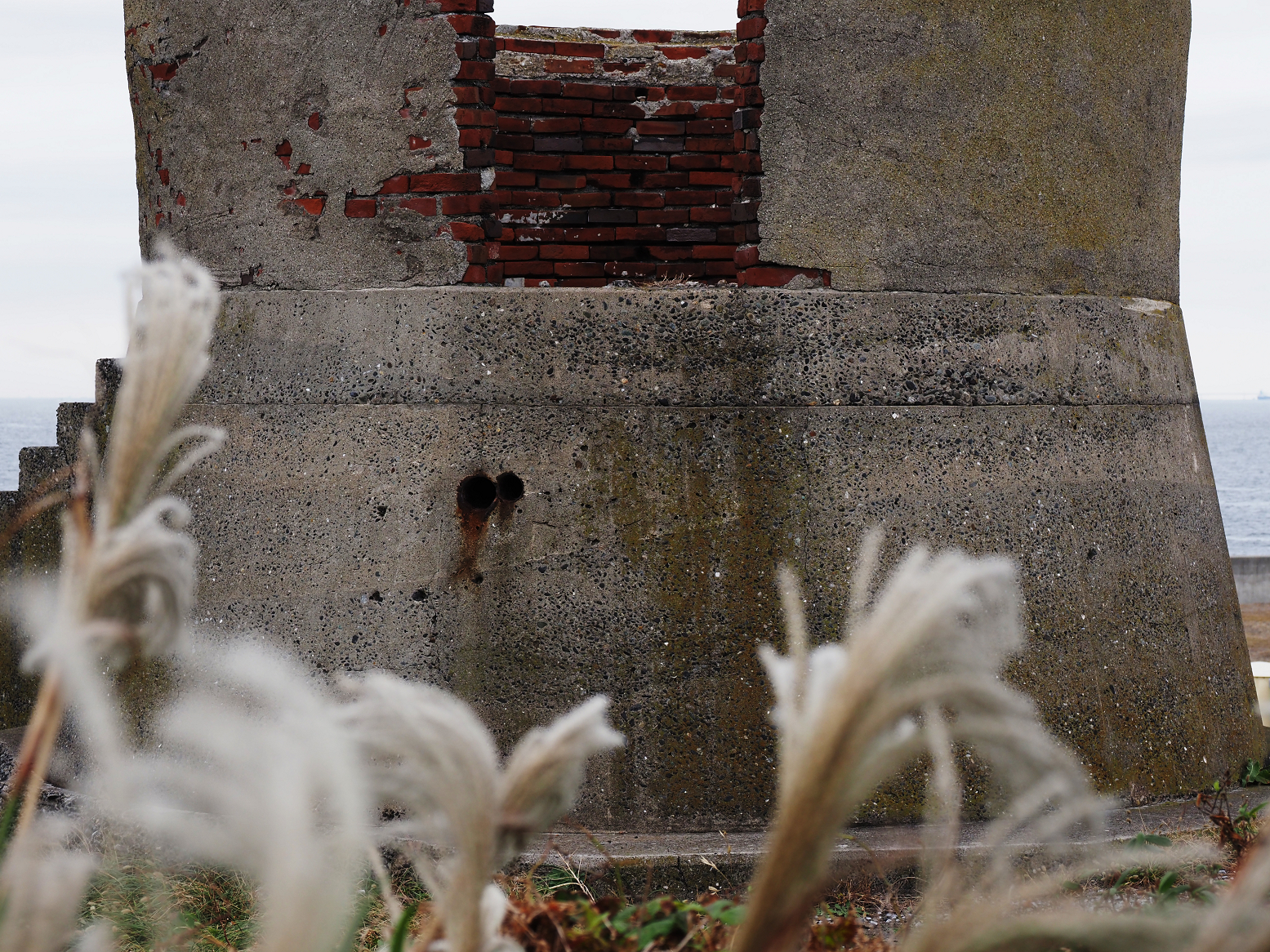 PA160286.jpg