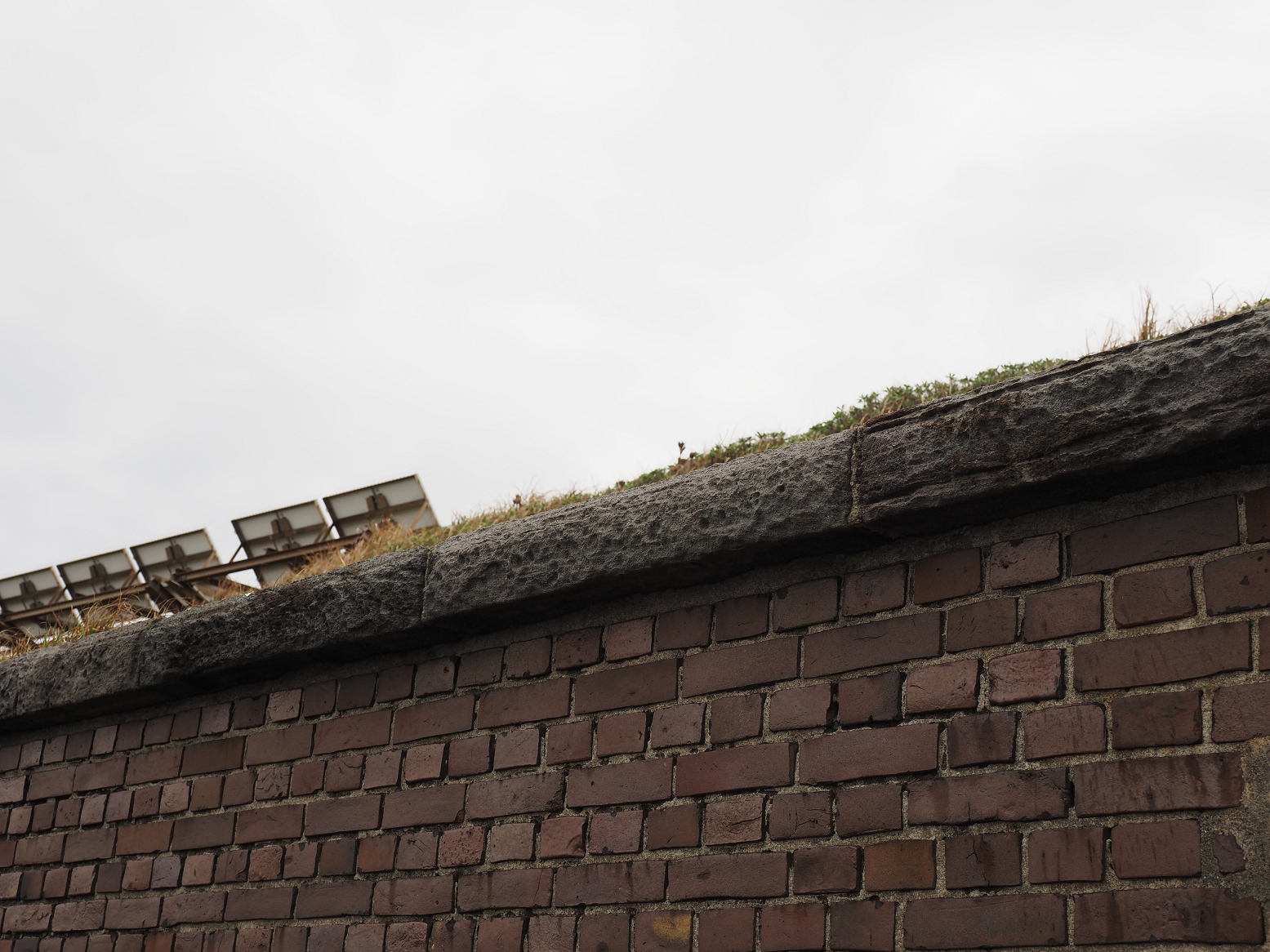 PA160313.jpg