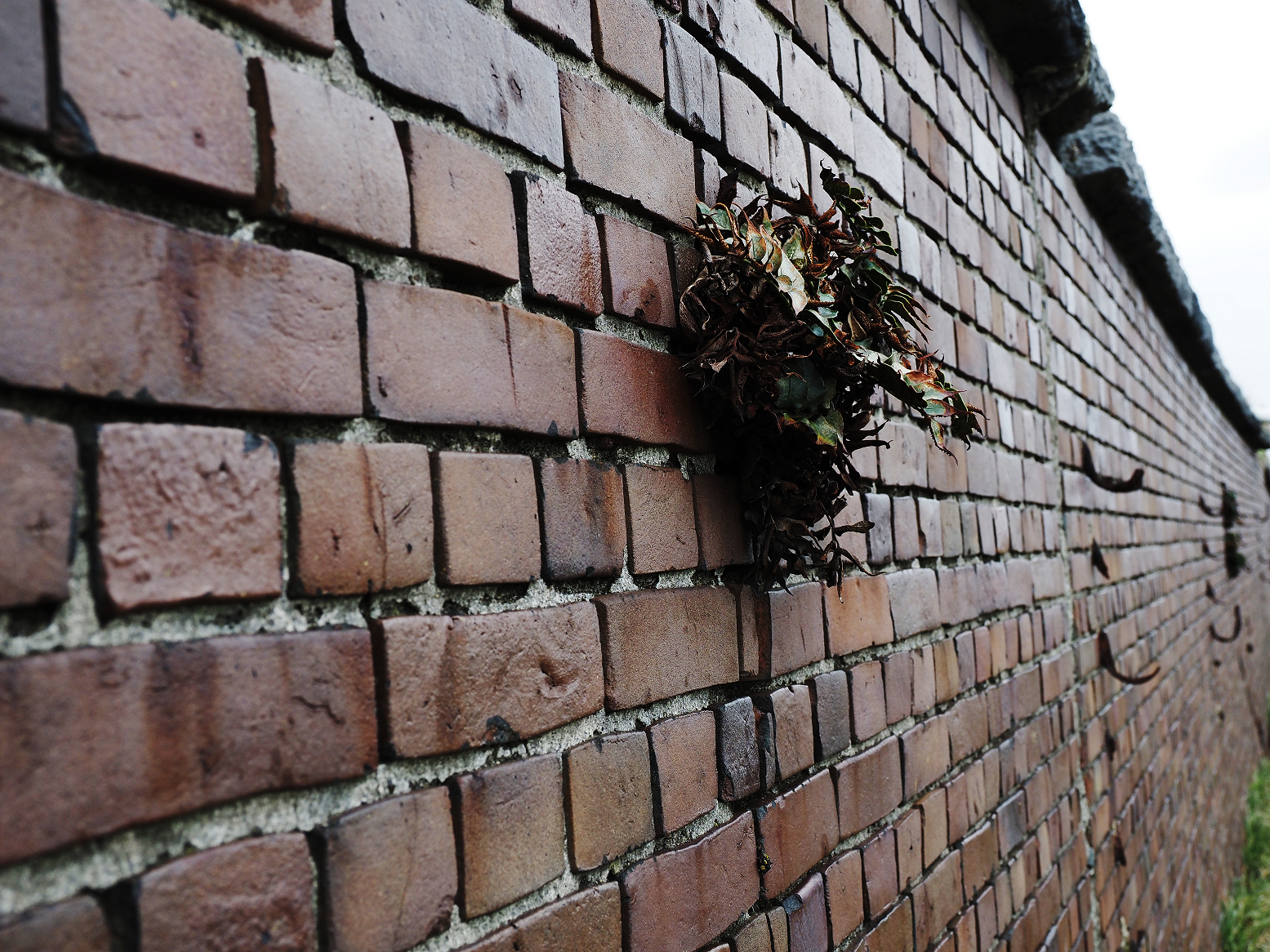 PA160317.jpg