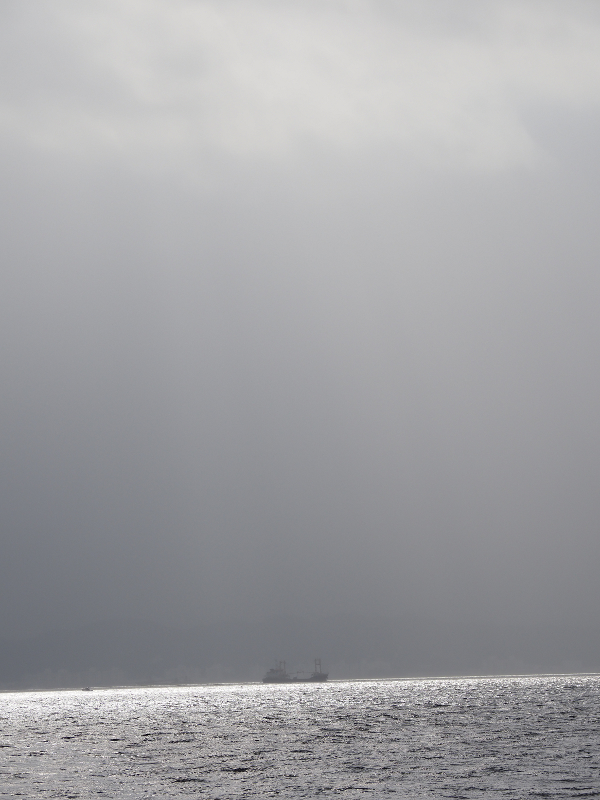 PA160359.jpg
