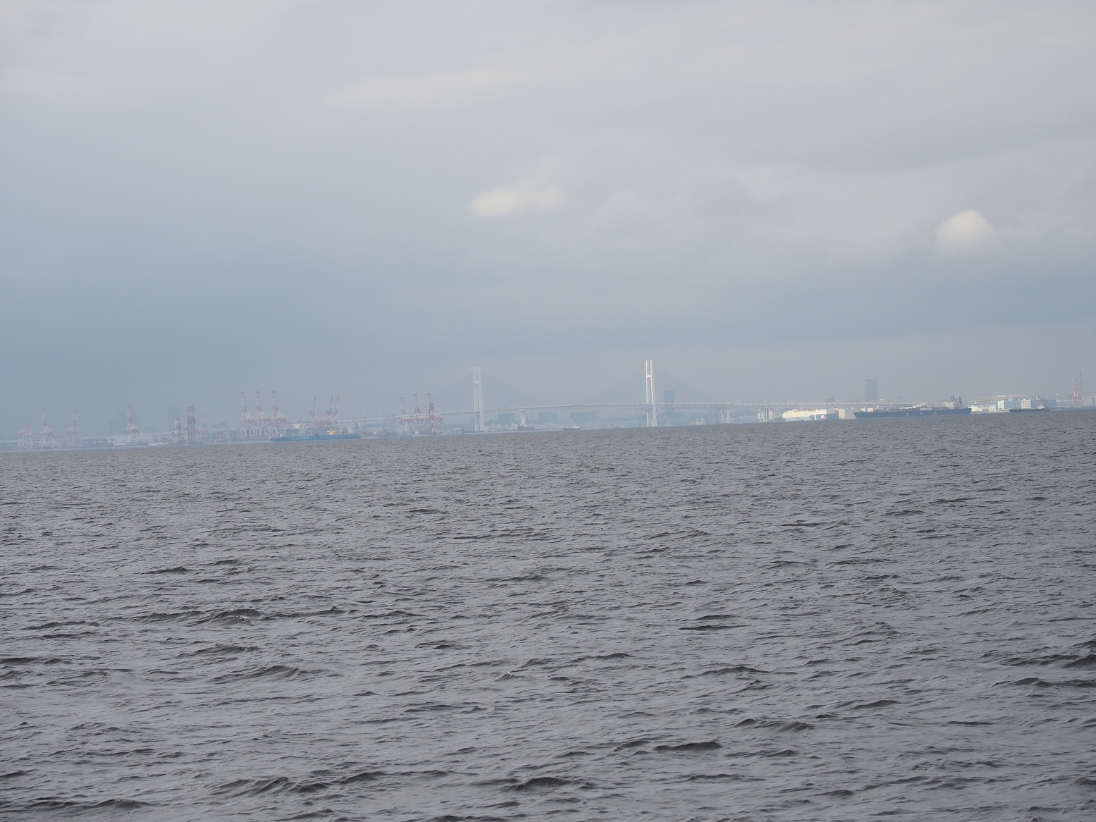 PA160369.jpg