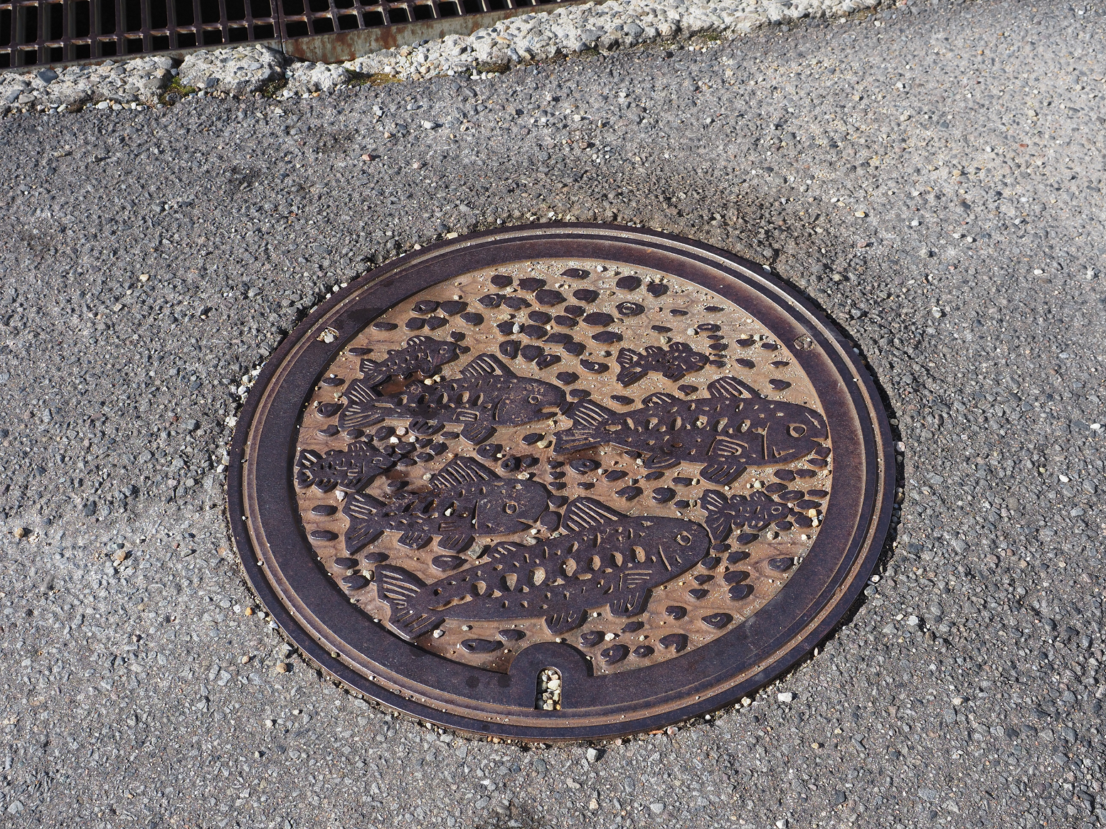 PB060003.jpg