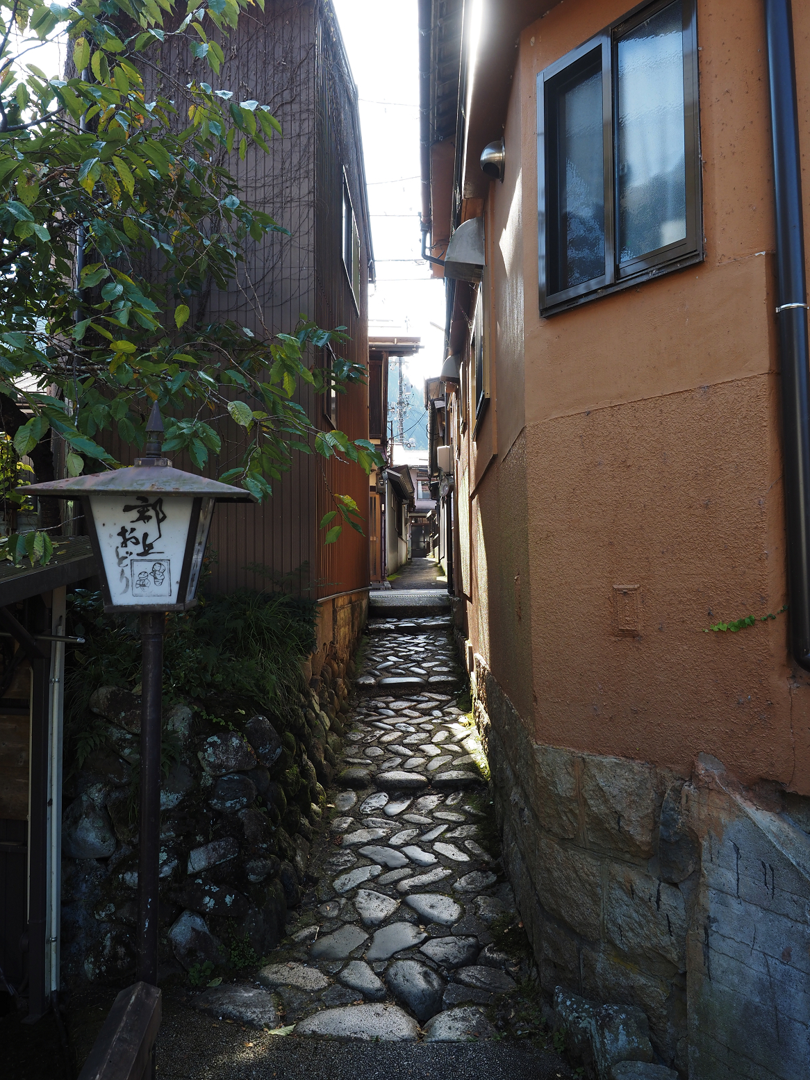 PB060038.jpg