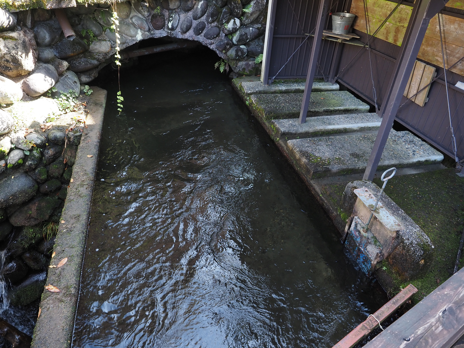 PB060039.jpg