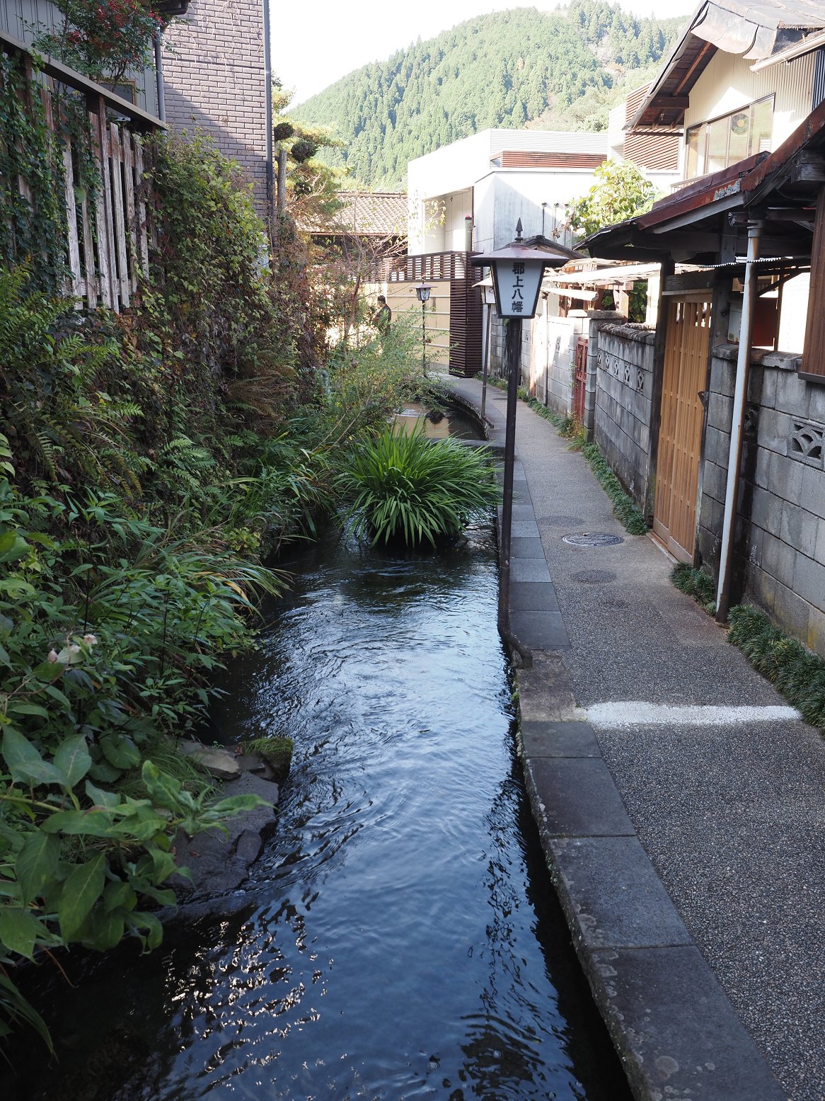 PB060040.jpg