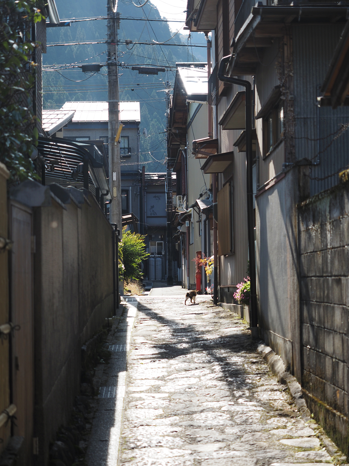 PB060046.jpg