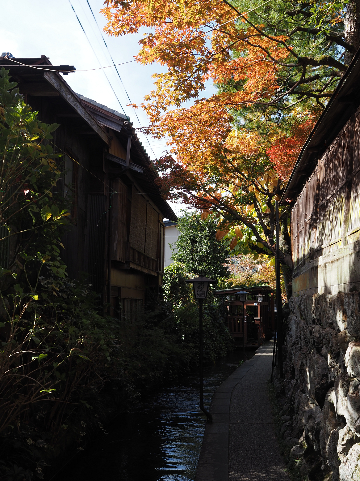 PB060053.jpg