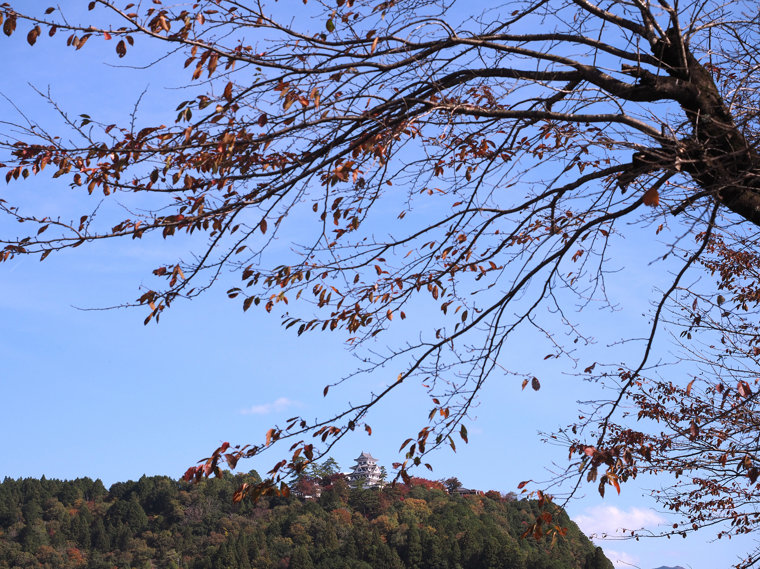 PB060072.jpg