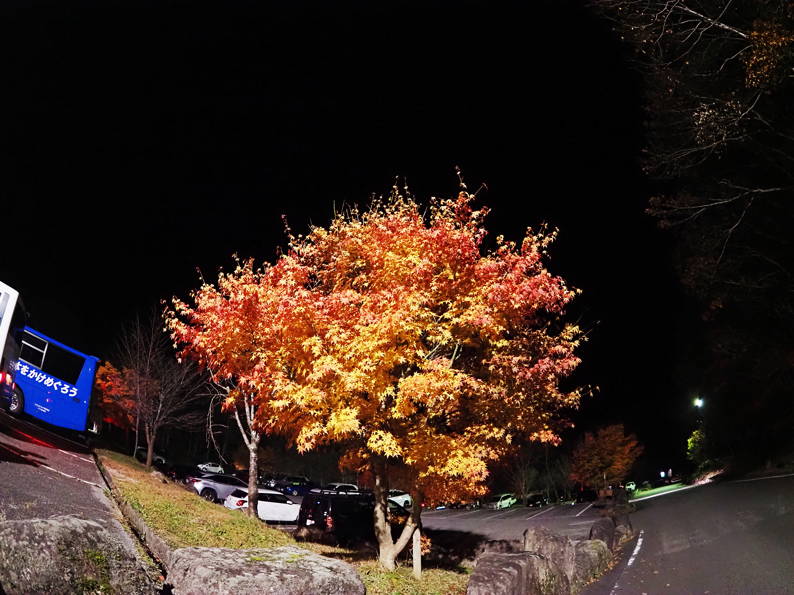 PB060126-12.jpg