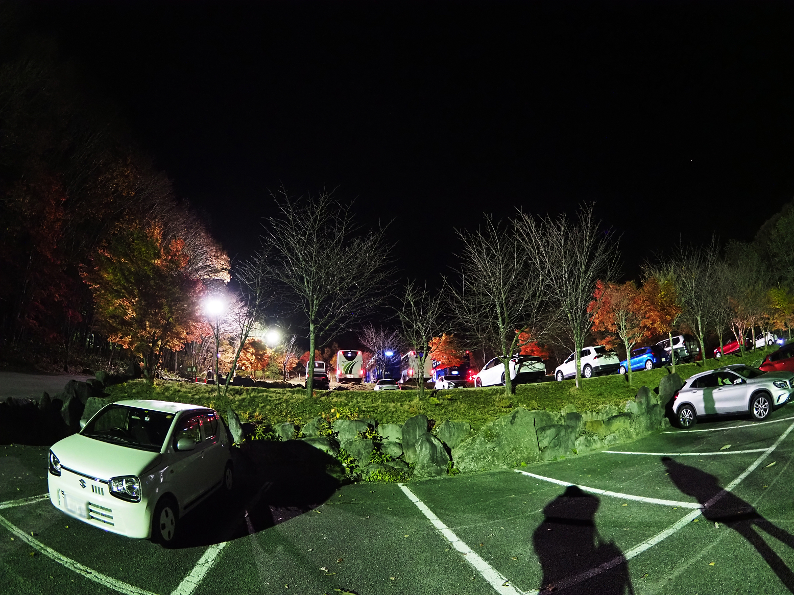 PB060126-13.jpg