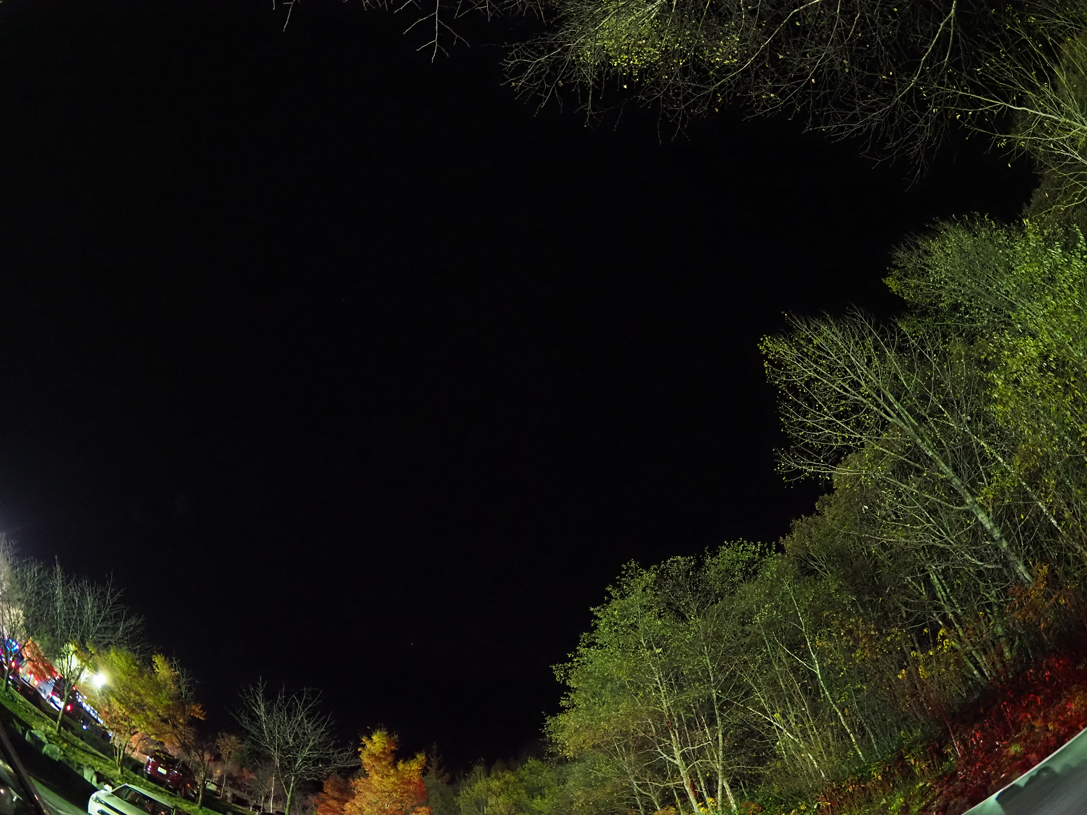 PB060126-16.jpg