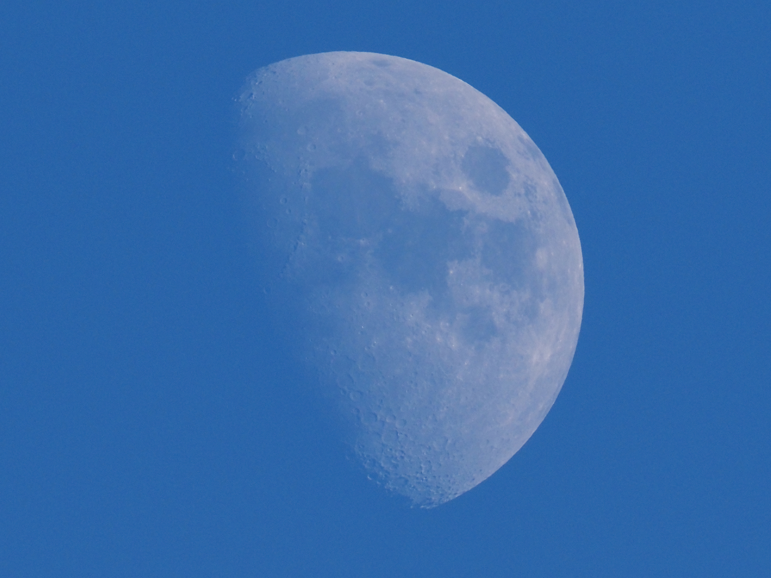 PB130164.jpg