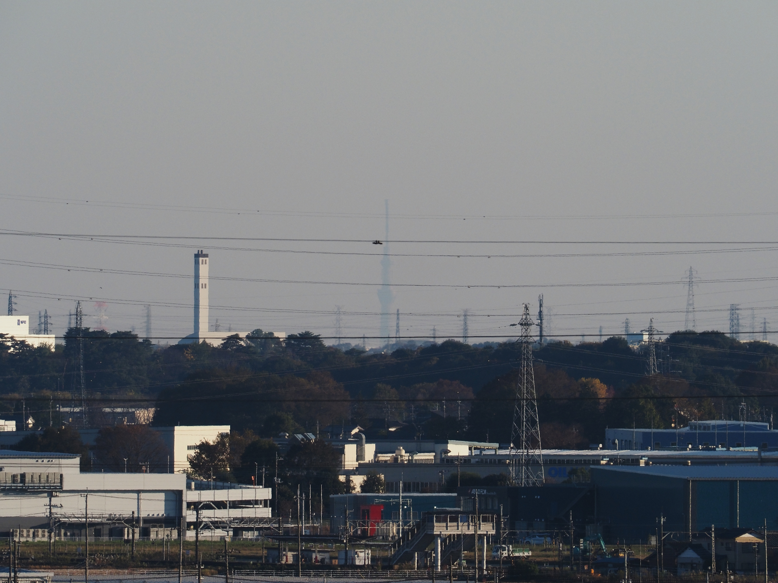 PB130165.jpg