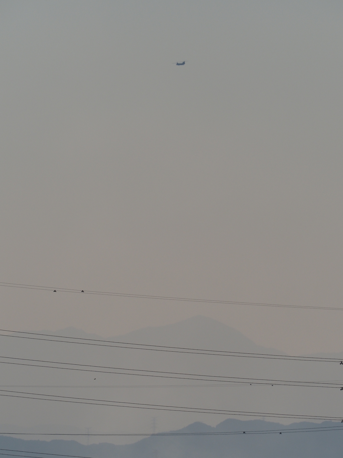 PB130183.jpg
