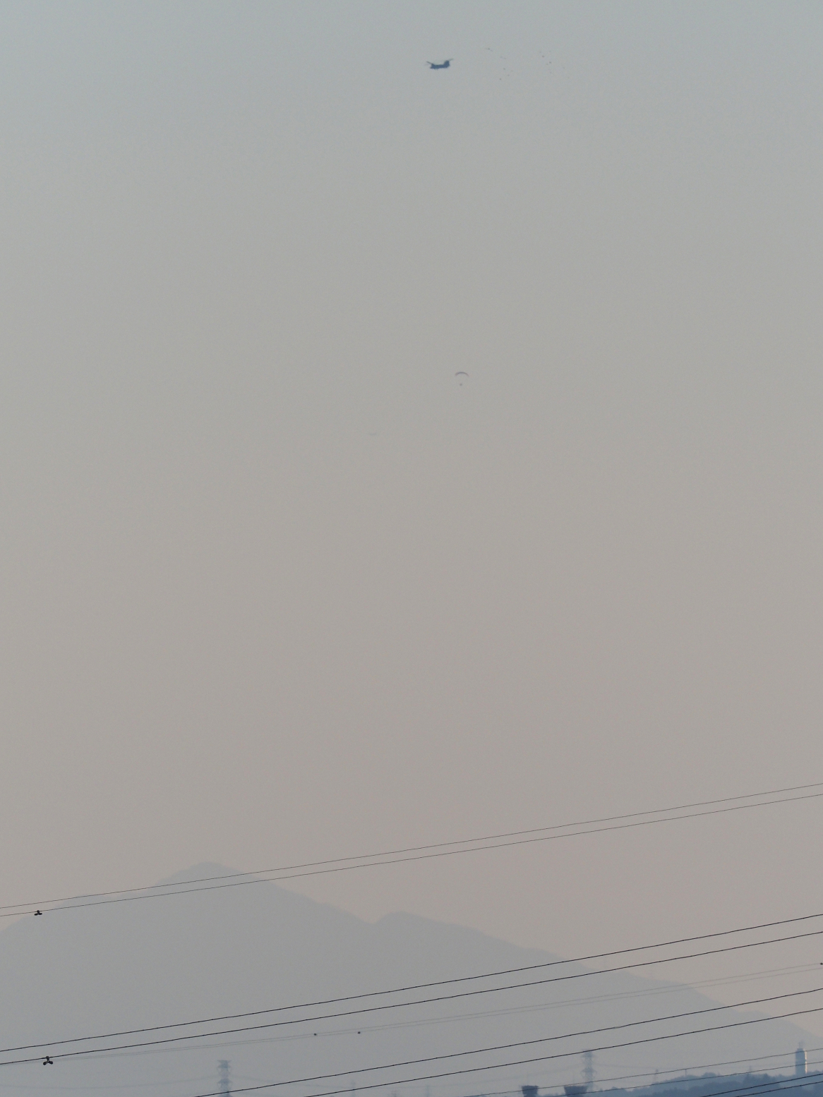 PB130186.jpg