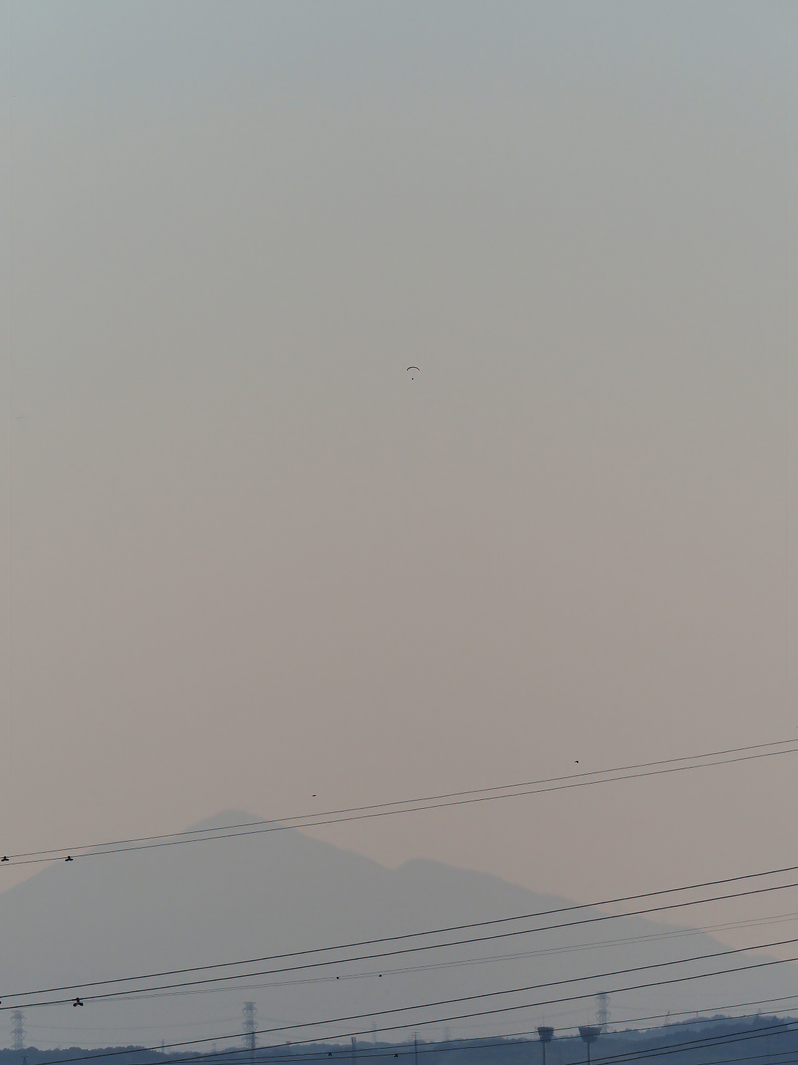 PB130187.jpg