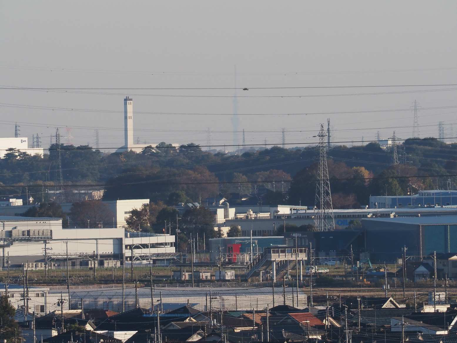 PB130190.jpg