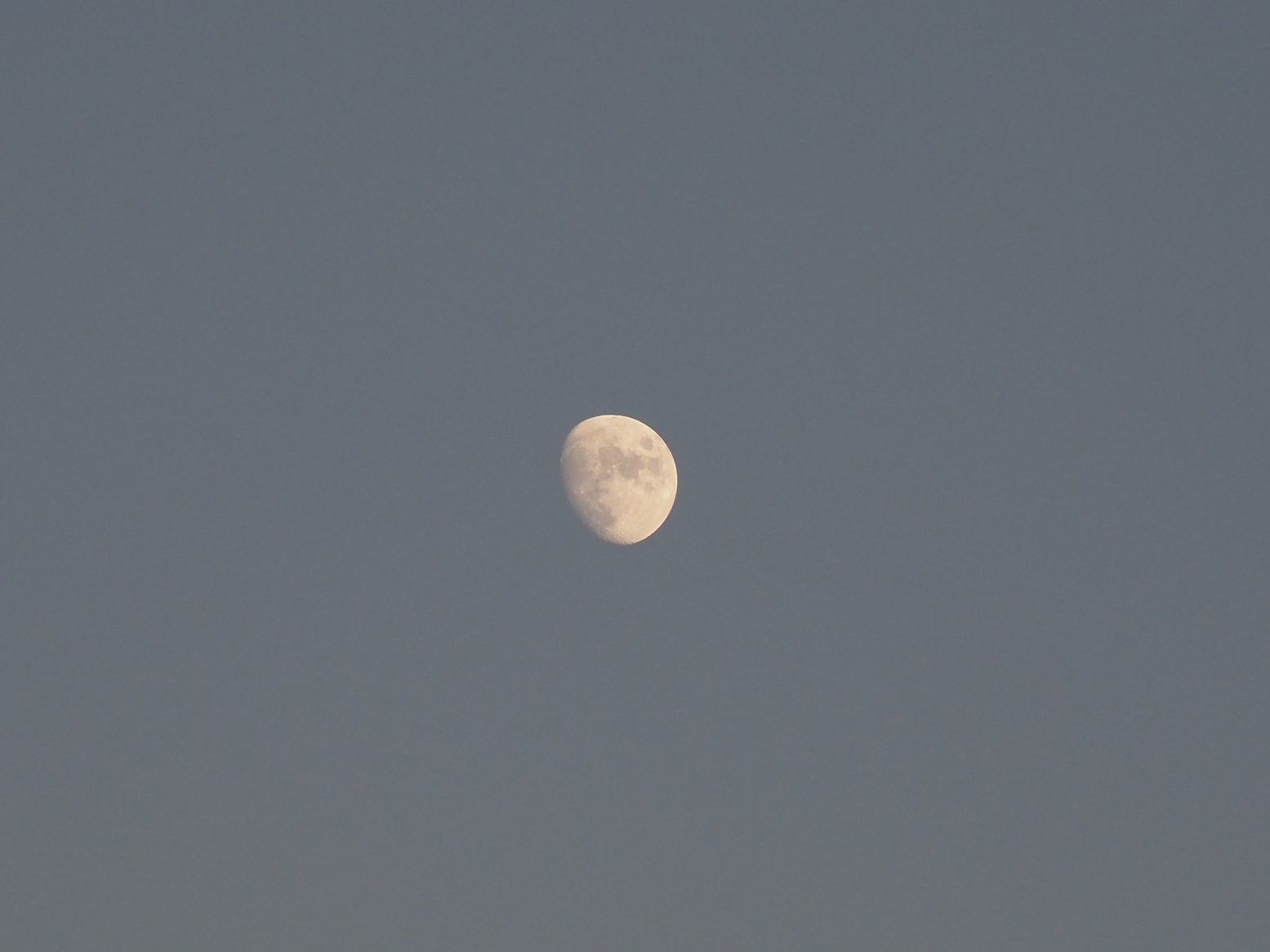 PB150015.jpg