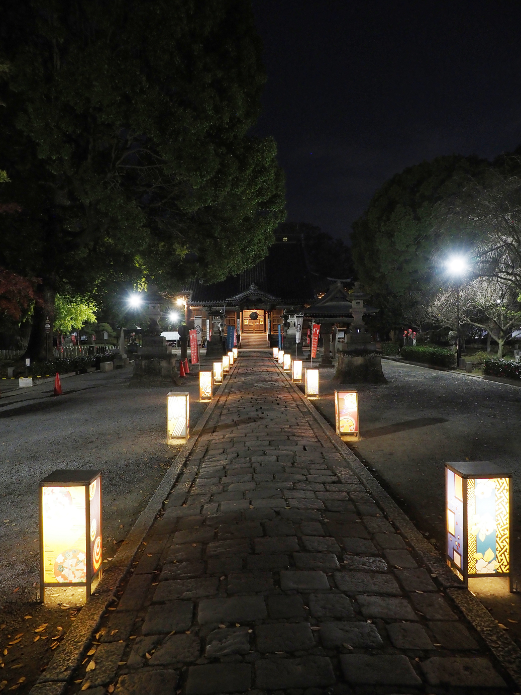 PB150118.jpg