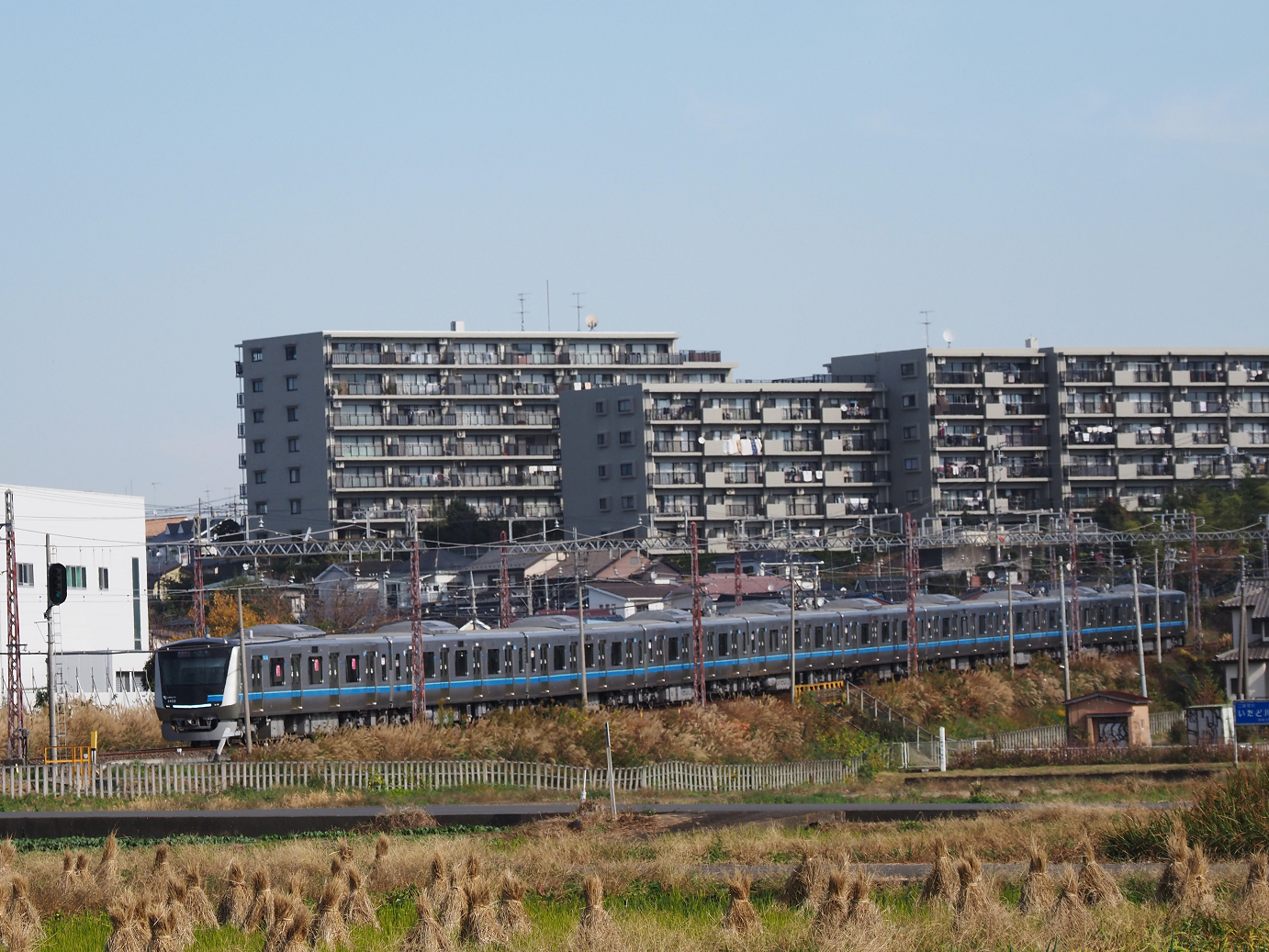 PB190009.jpg