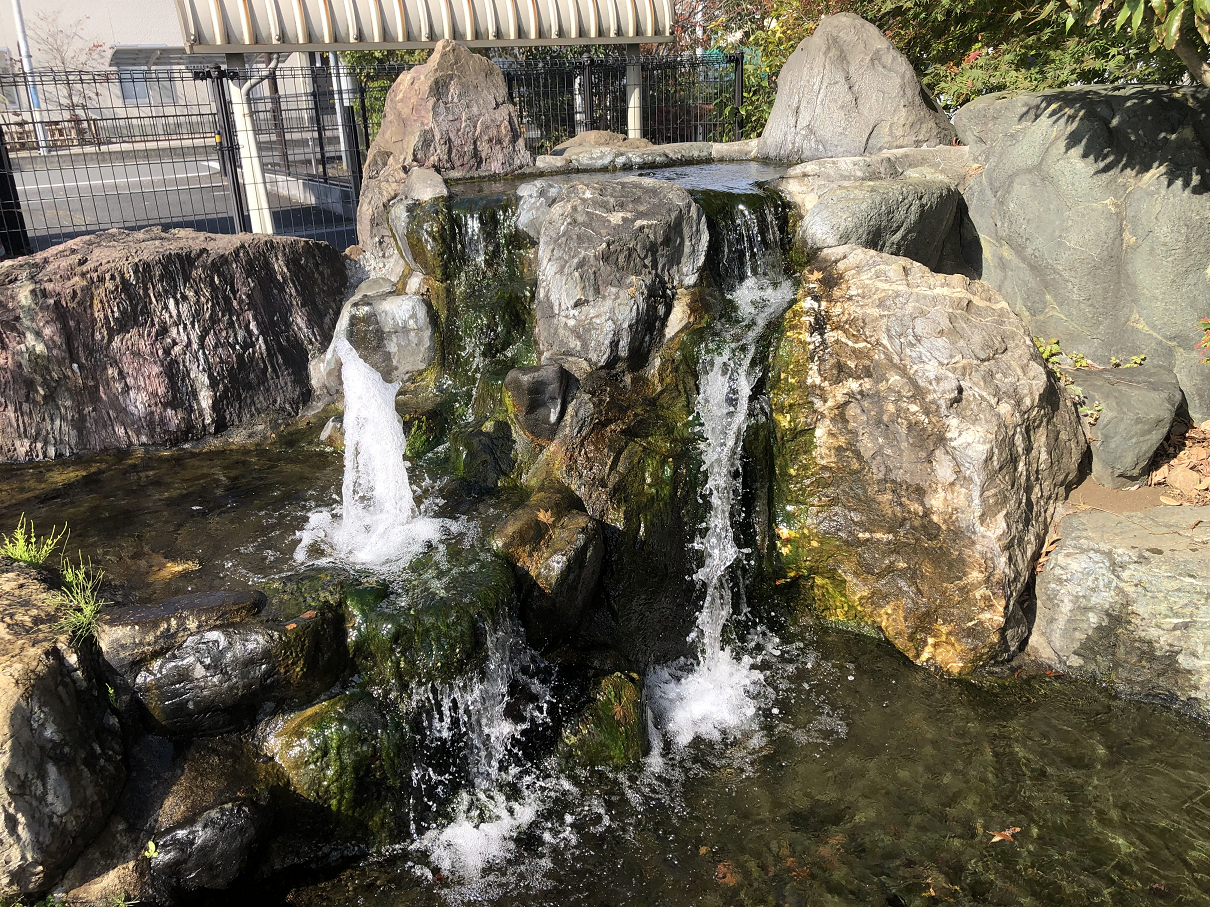 PB190015-09.jpg