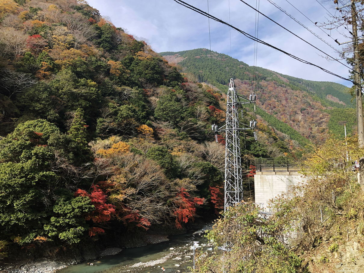 PB190015-13.jpg