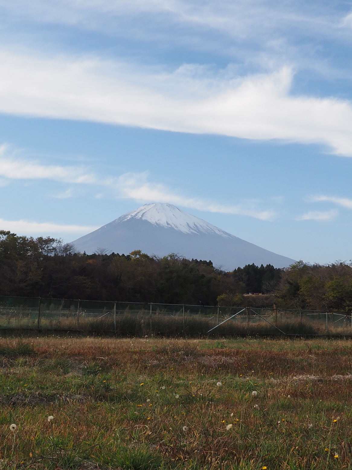 PB190027-01.jpg