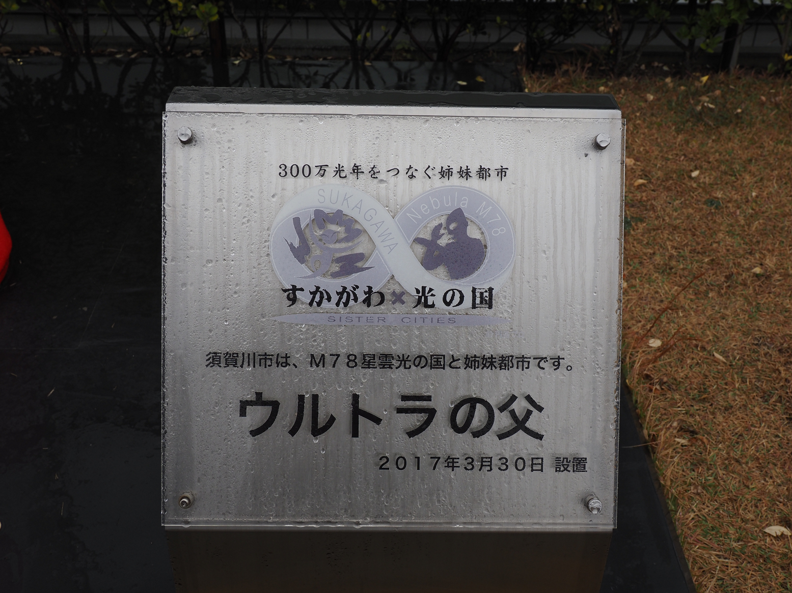 PB220451.jpg