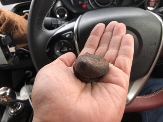 IMG_4225_thumb.png