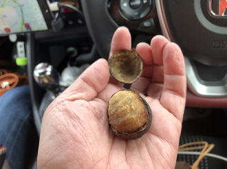 IMG_4226_thumb.png