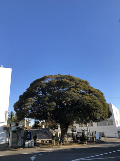 IMG_5503_thumb.png