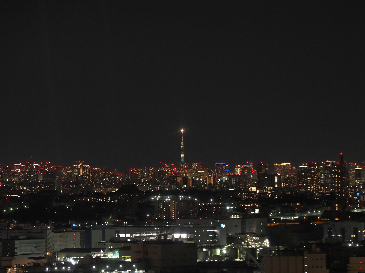 PC280116.jpg