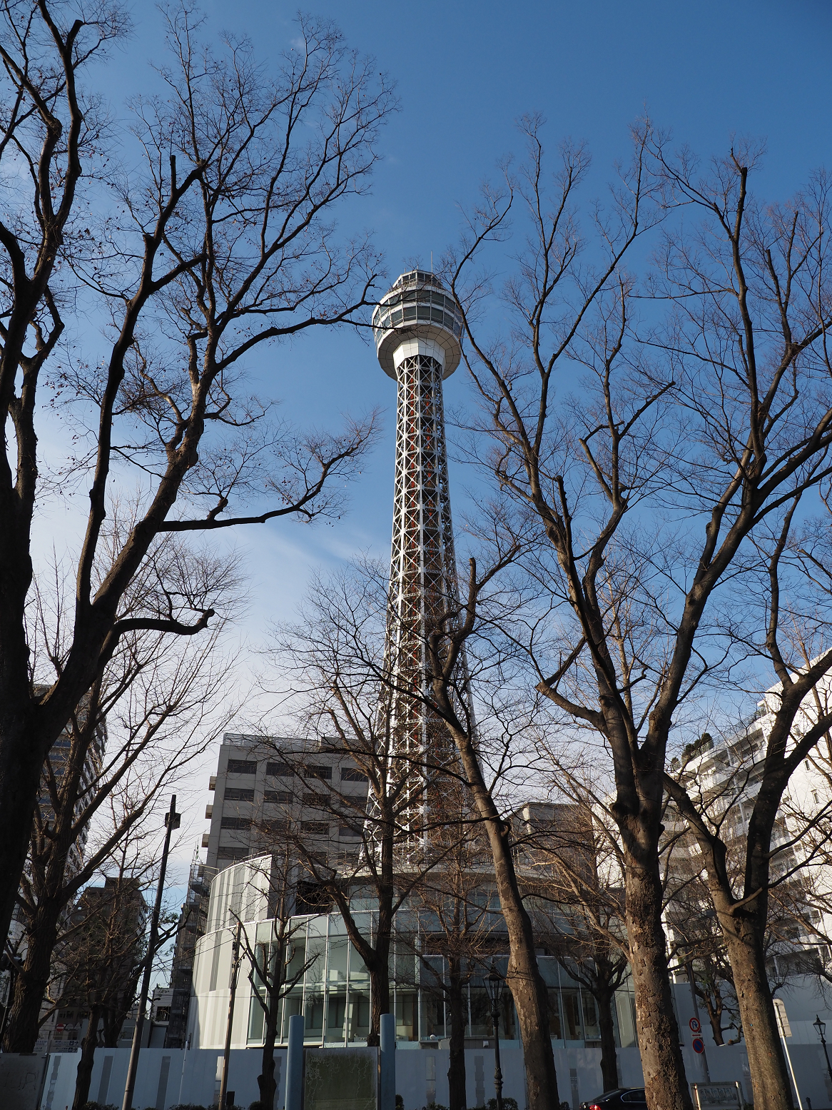 PC290211.jpg