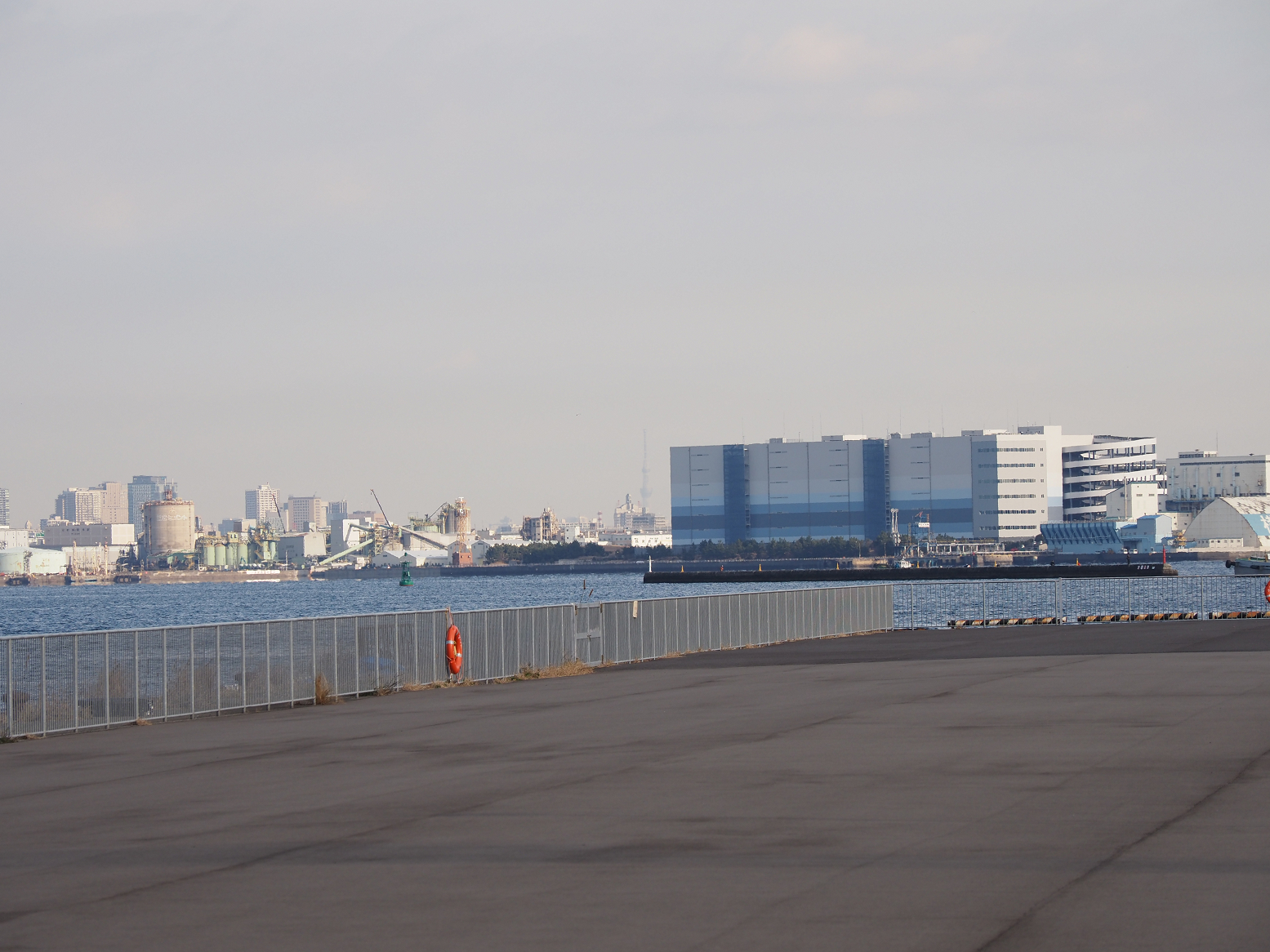 PC290238.jpg