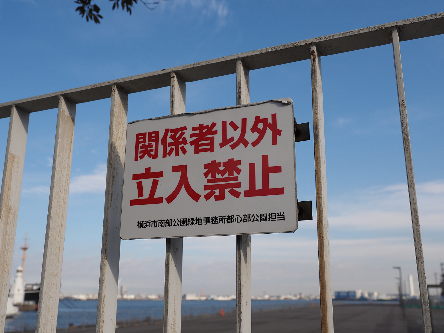 PC290239.jpg