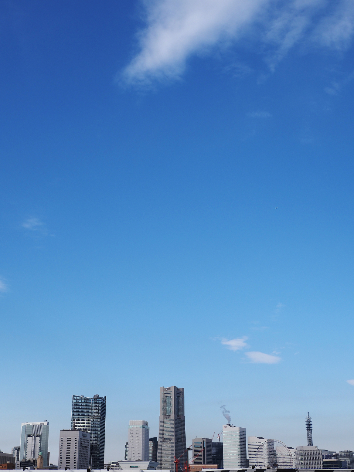 PC290306.jpg