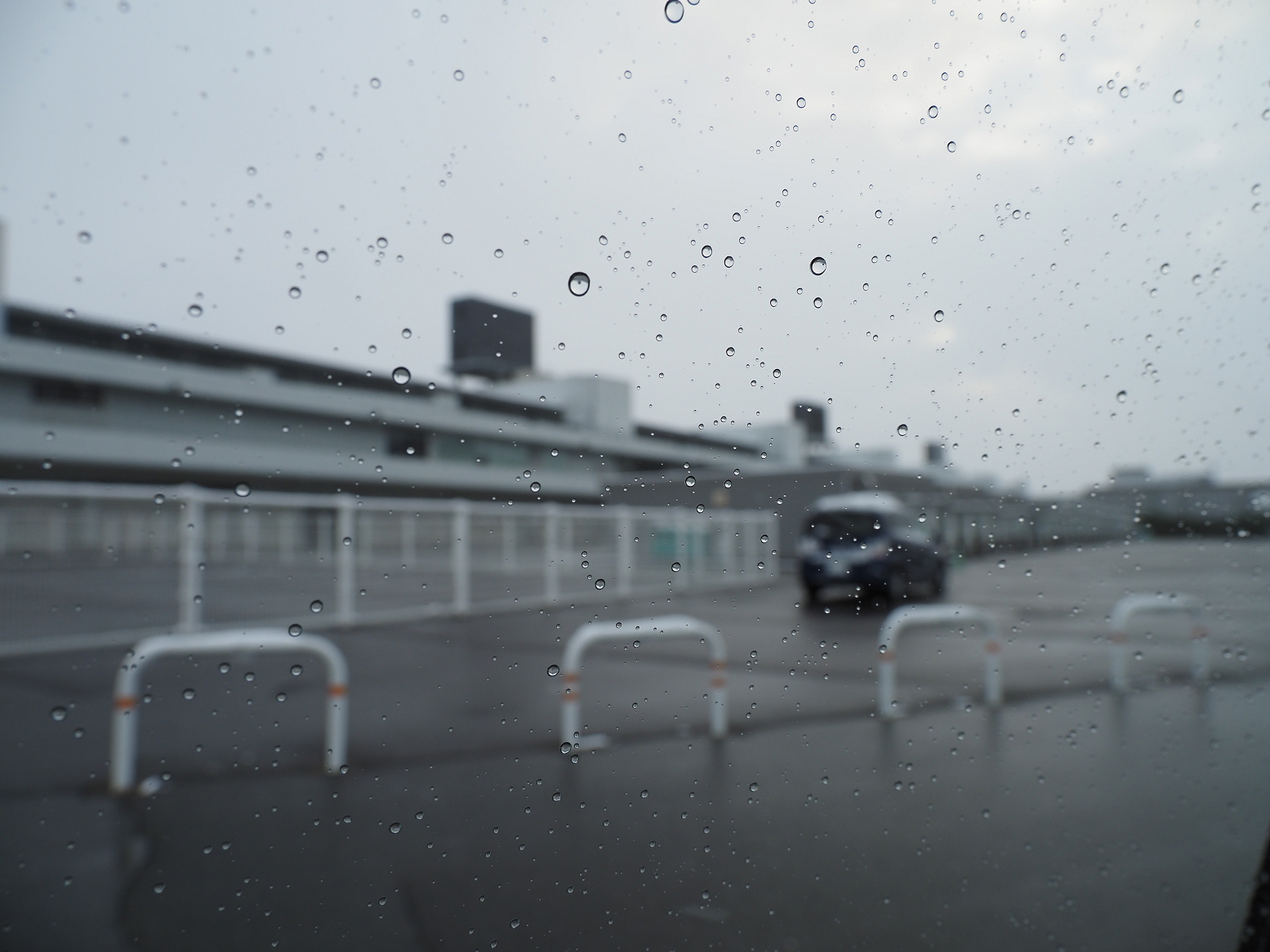 P1010011.jpg