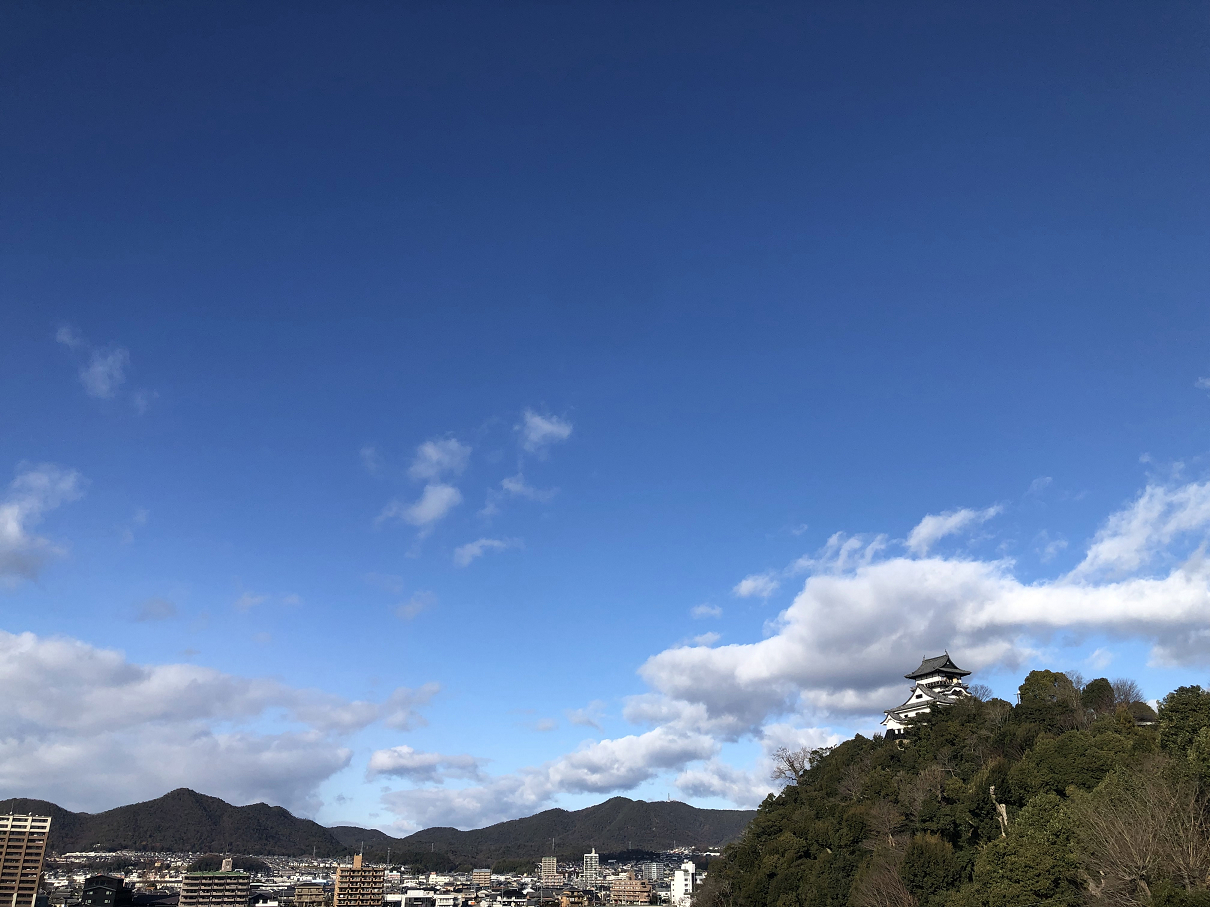 P1010224.jpg