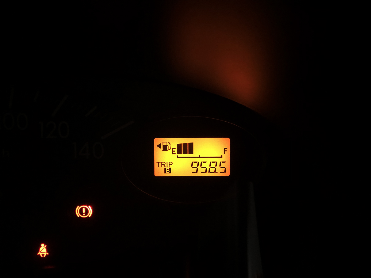 P1010251.jpg